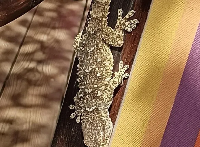 A 3*